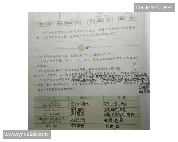 解析球星足球天赋的奥秘 揭示影响球员表现的关键因素